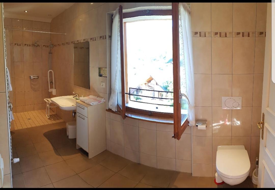 Hotel Plein Soleil Vacheresse المظهر الخارجي الصورة